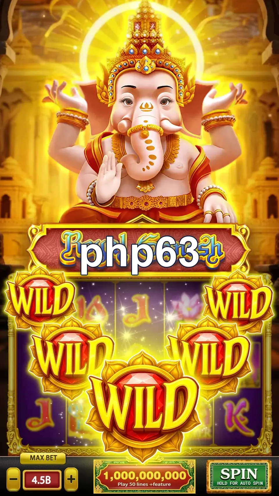 php63 Mag-login